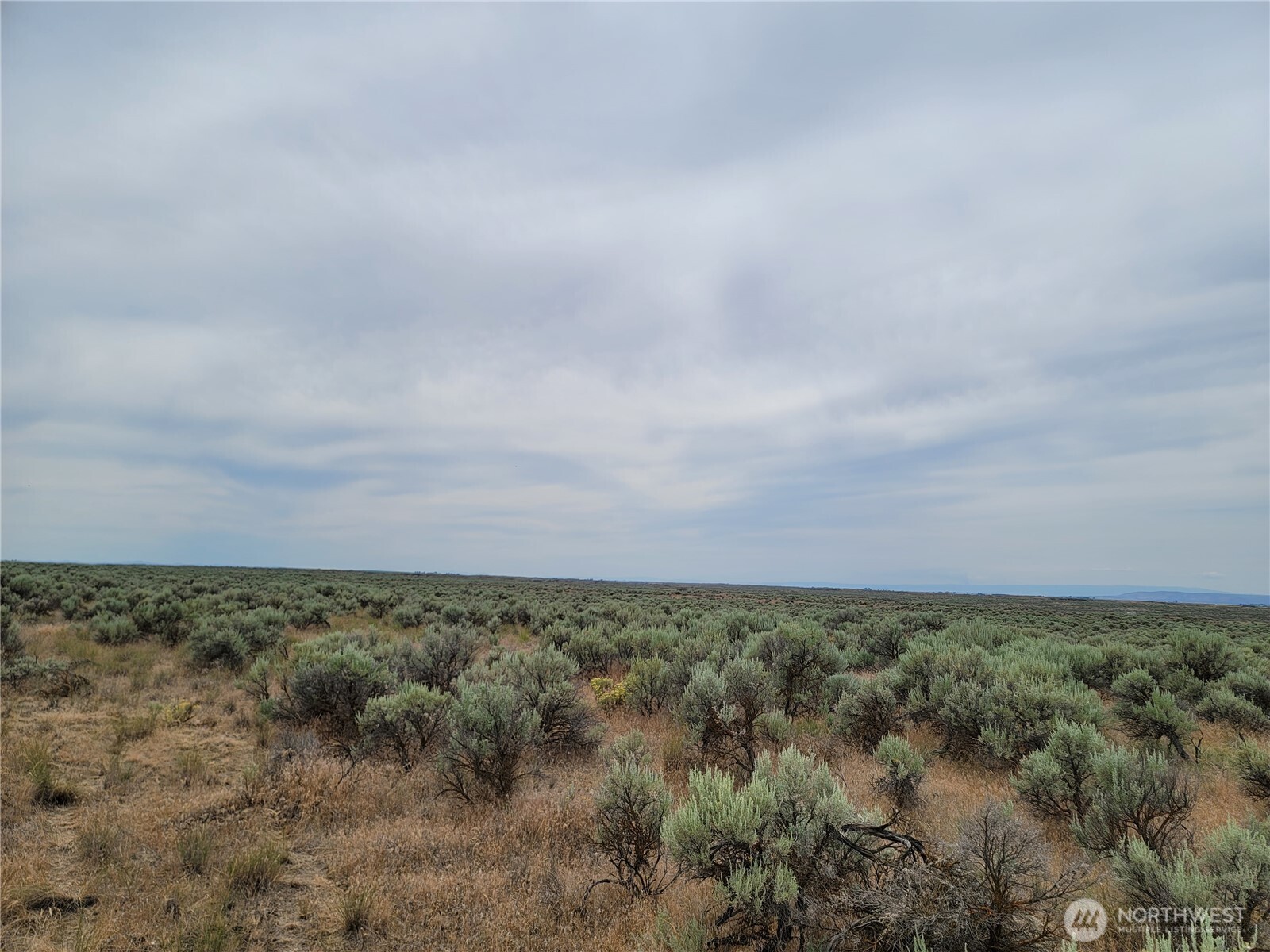 0 Lot 116 Eagle Springs Ranch