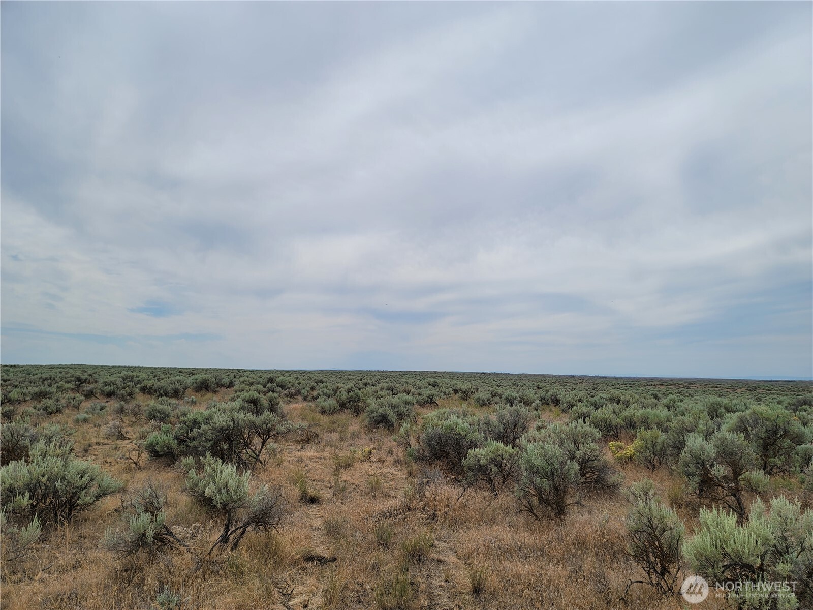 0 Lot 116 Eagle Springs Ranch