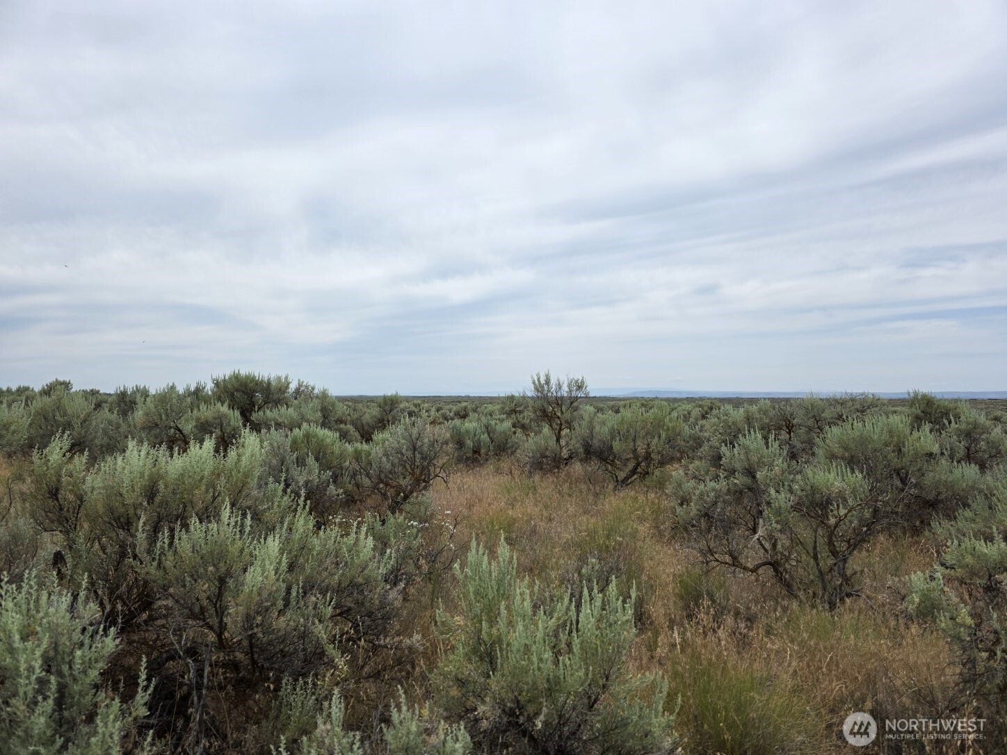 0 Lot 116 Eagle Springs Ranch