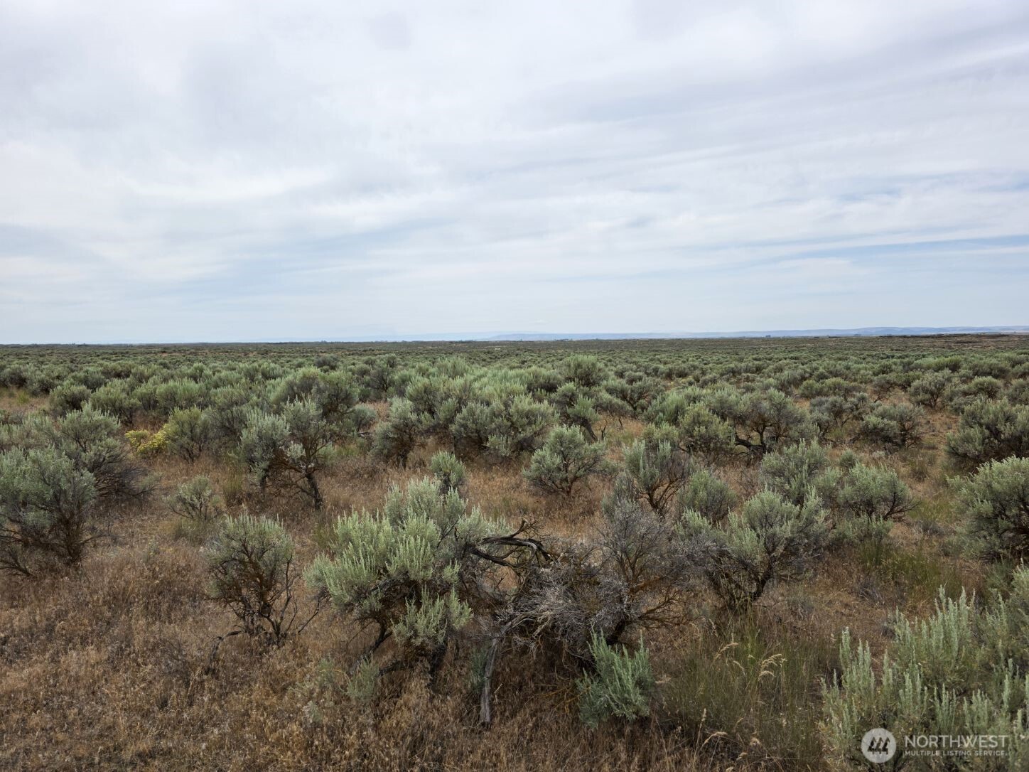 0 Lot 116 Eagle Springs Ranch