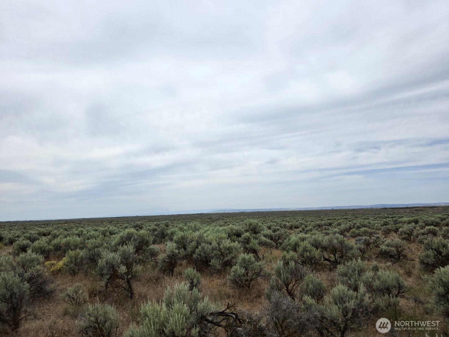 0 Lot 116 Eagle Springs Ranch