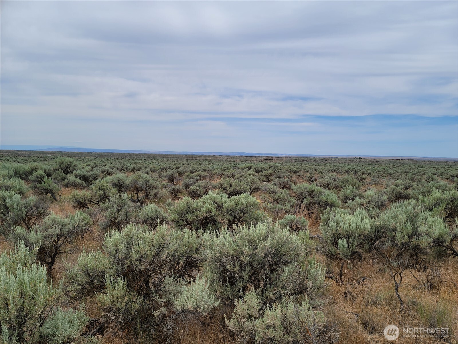 0 Lot 116 Eagle Springs Ranch