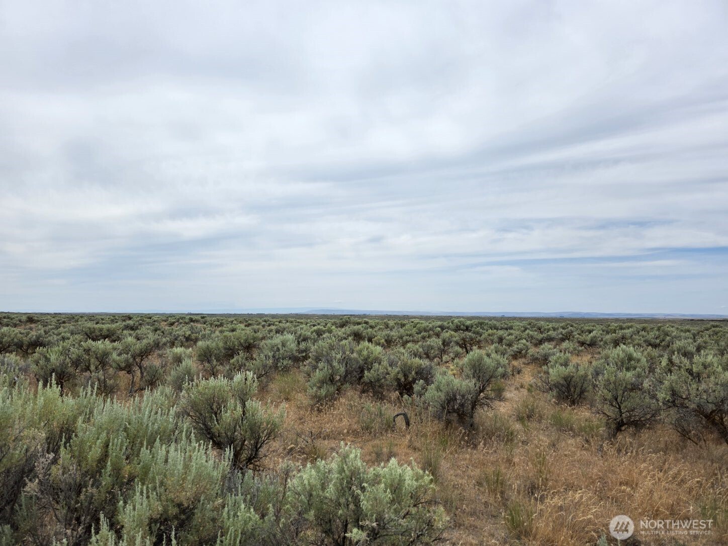0 Lot 116 Eagle Springs Ranch