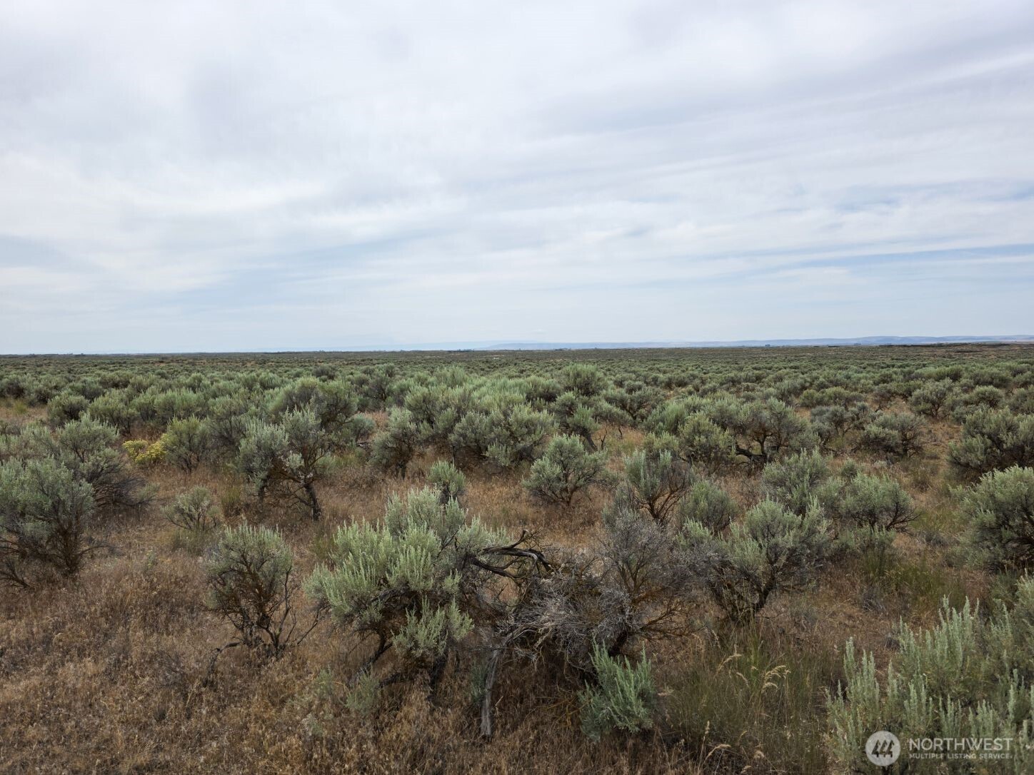 0 Lot 116 Eagle Springs Ranch