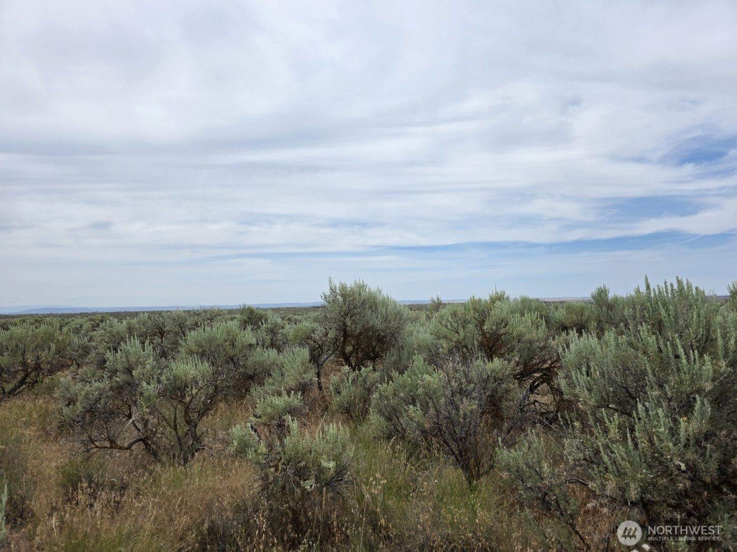 0 Lot 116 Eagle Springs Ranch