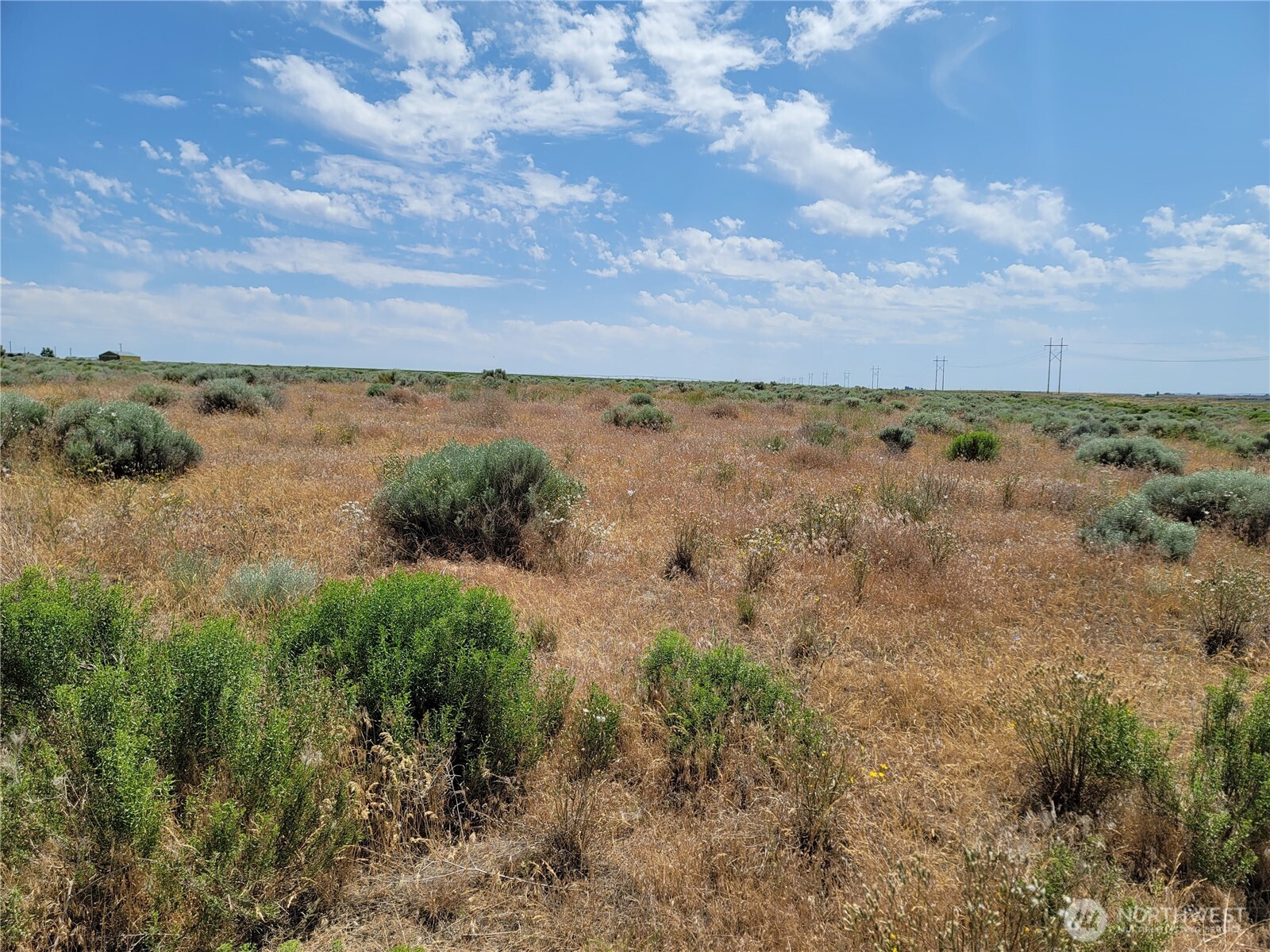 Open, brush-covered parcel with dry grasses, power lines, and a small distant structure.