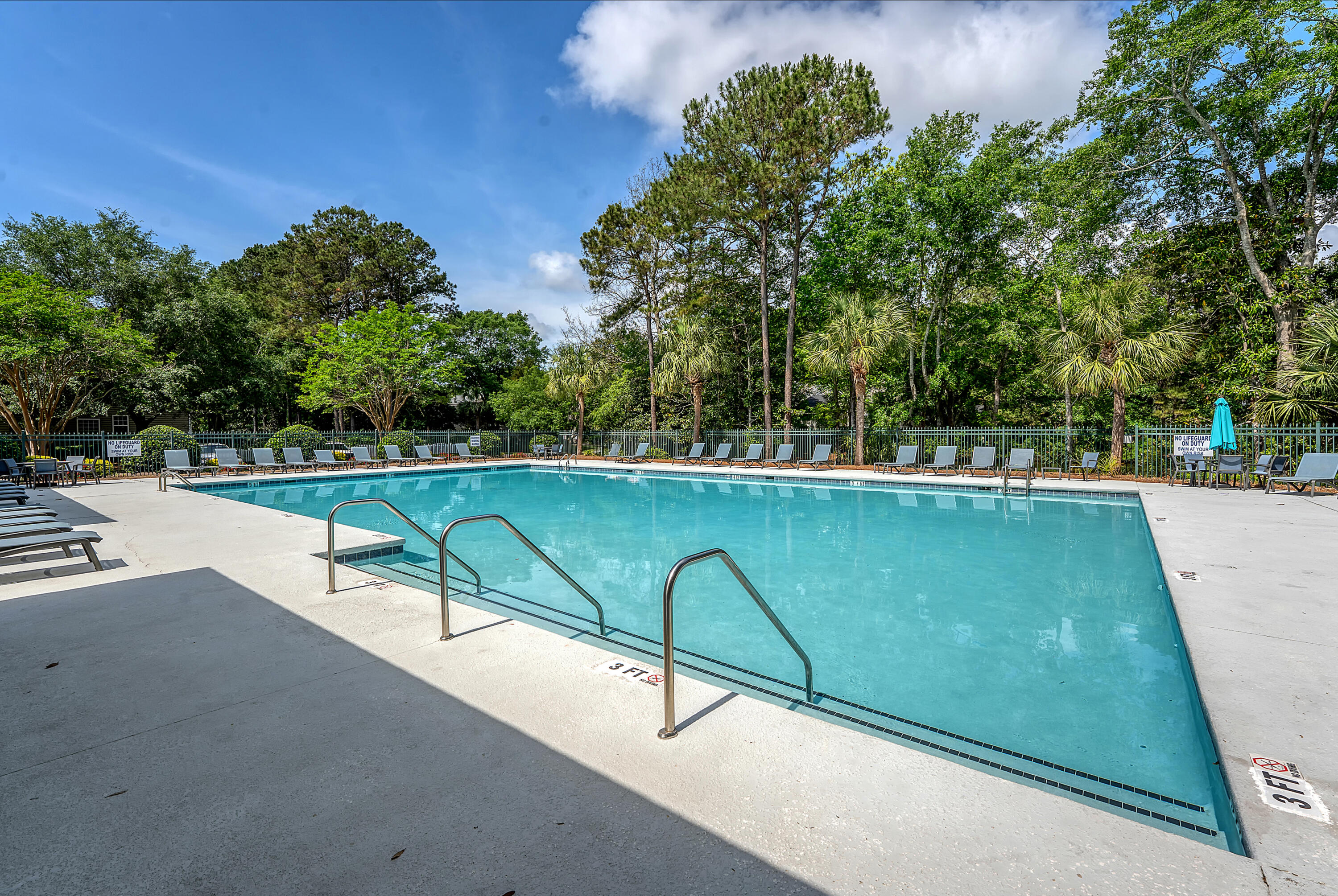 1308 Wild Olive Drive