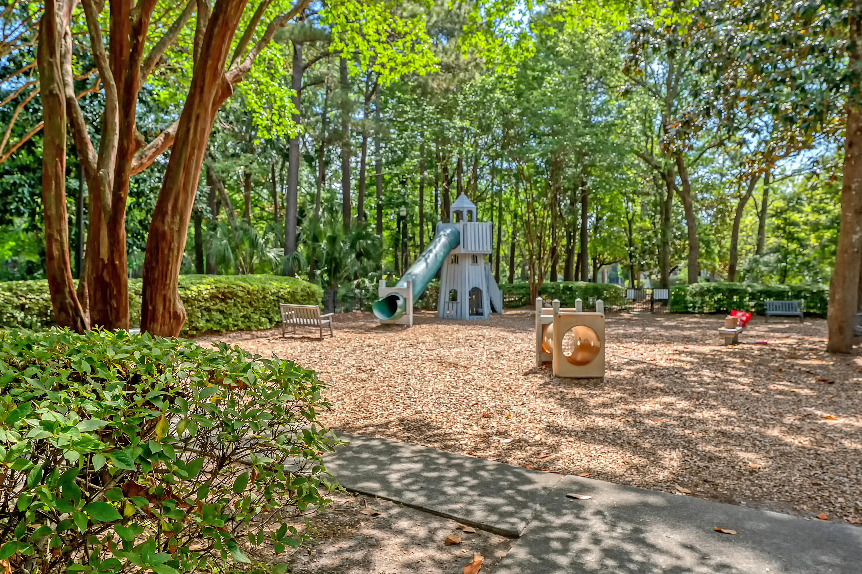 1308 Wild Olive Drive