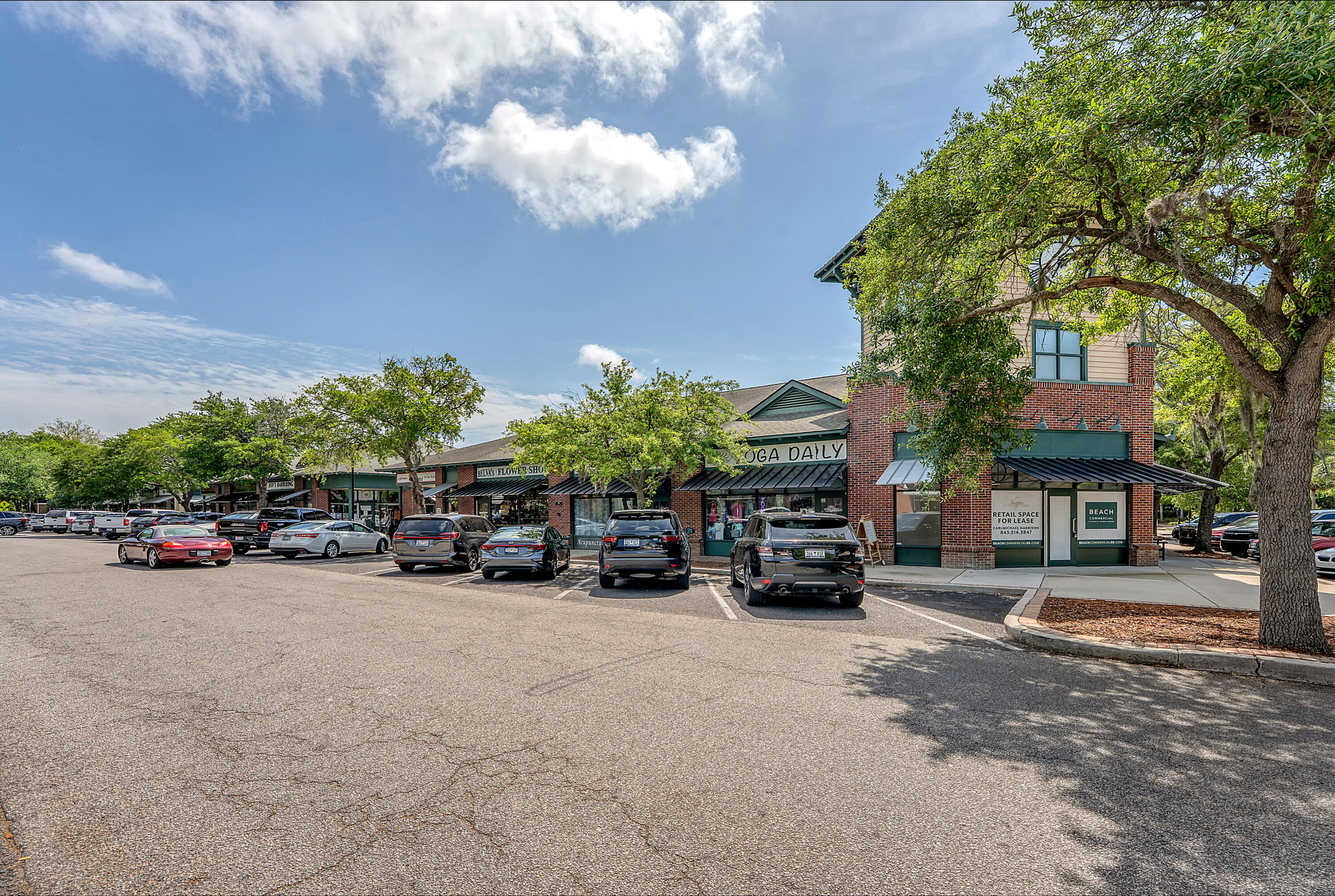 1308 Wild Olive Drive