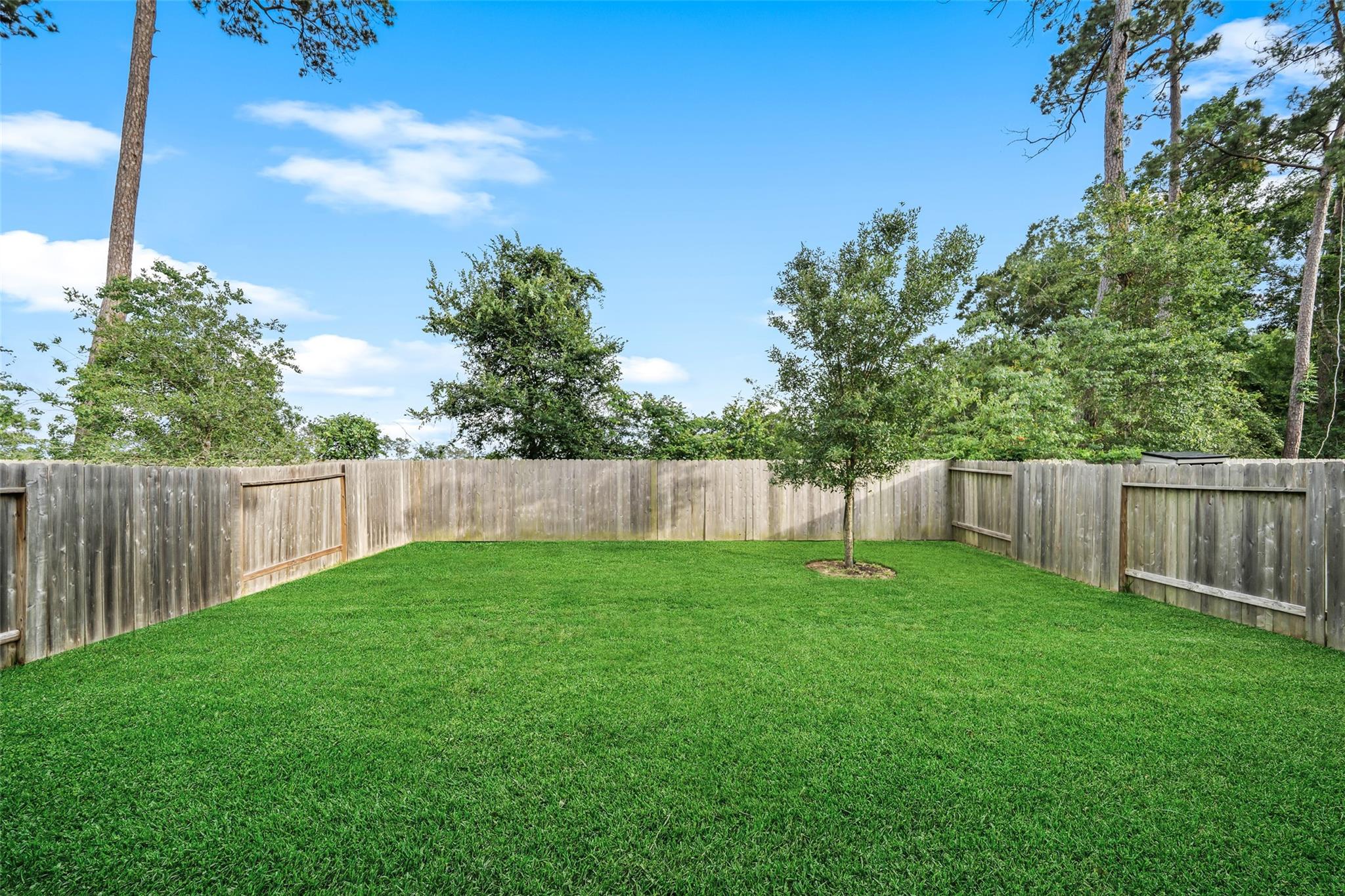 3628 Cub Drive