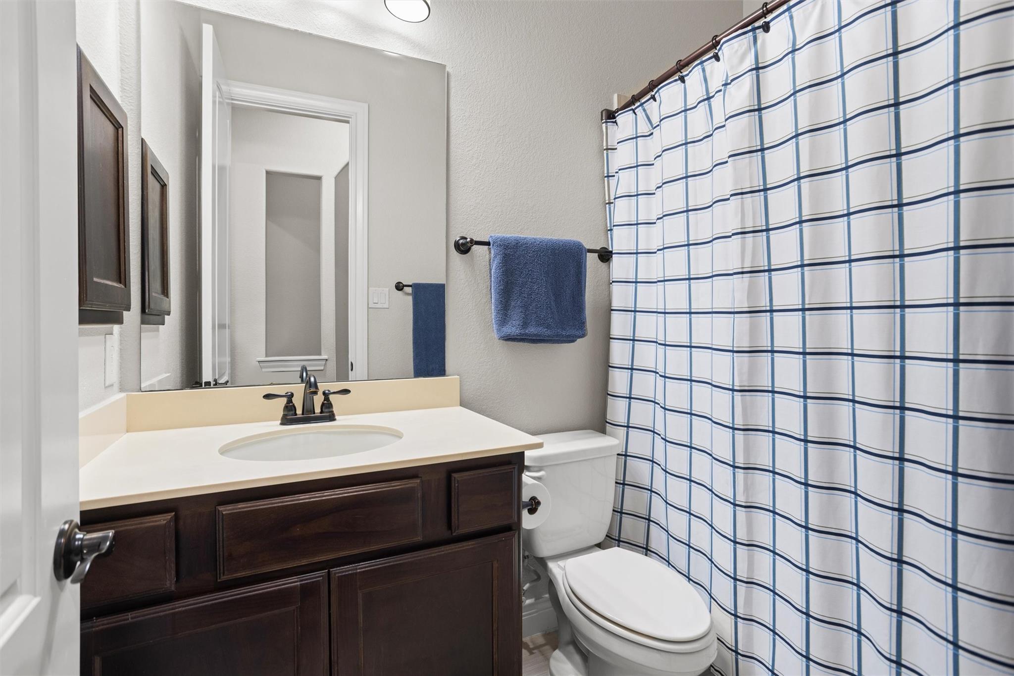 Bathroom with a dark wood vanity, white sink, and blue-and-white checked shower curtain.