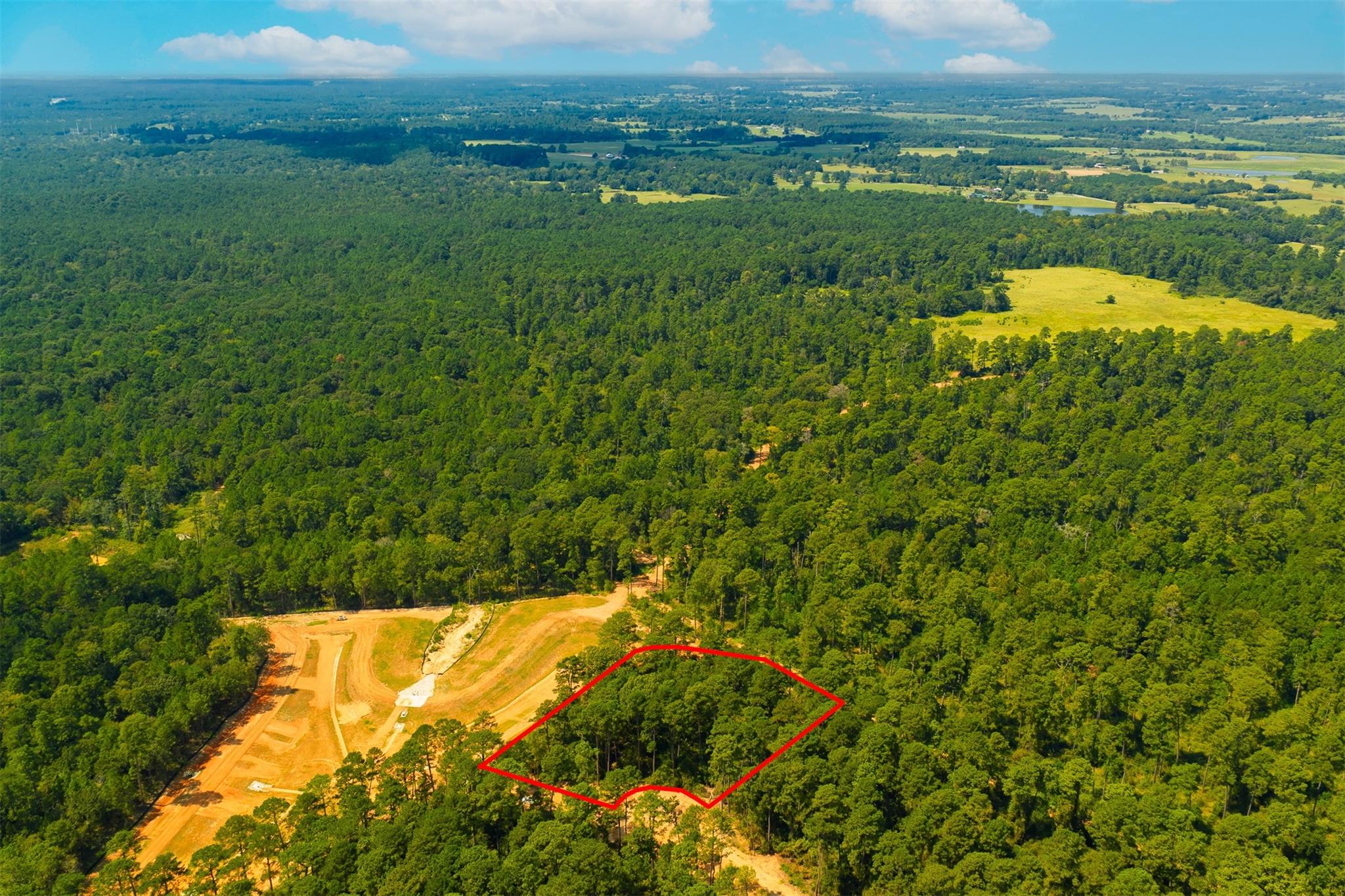 26348 Crooked Stick Court