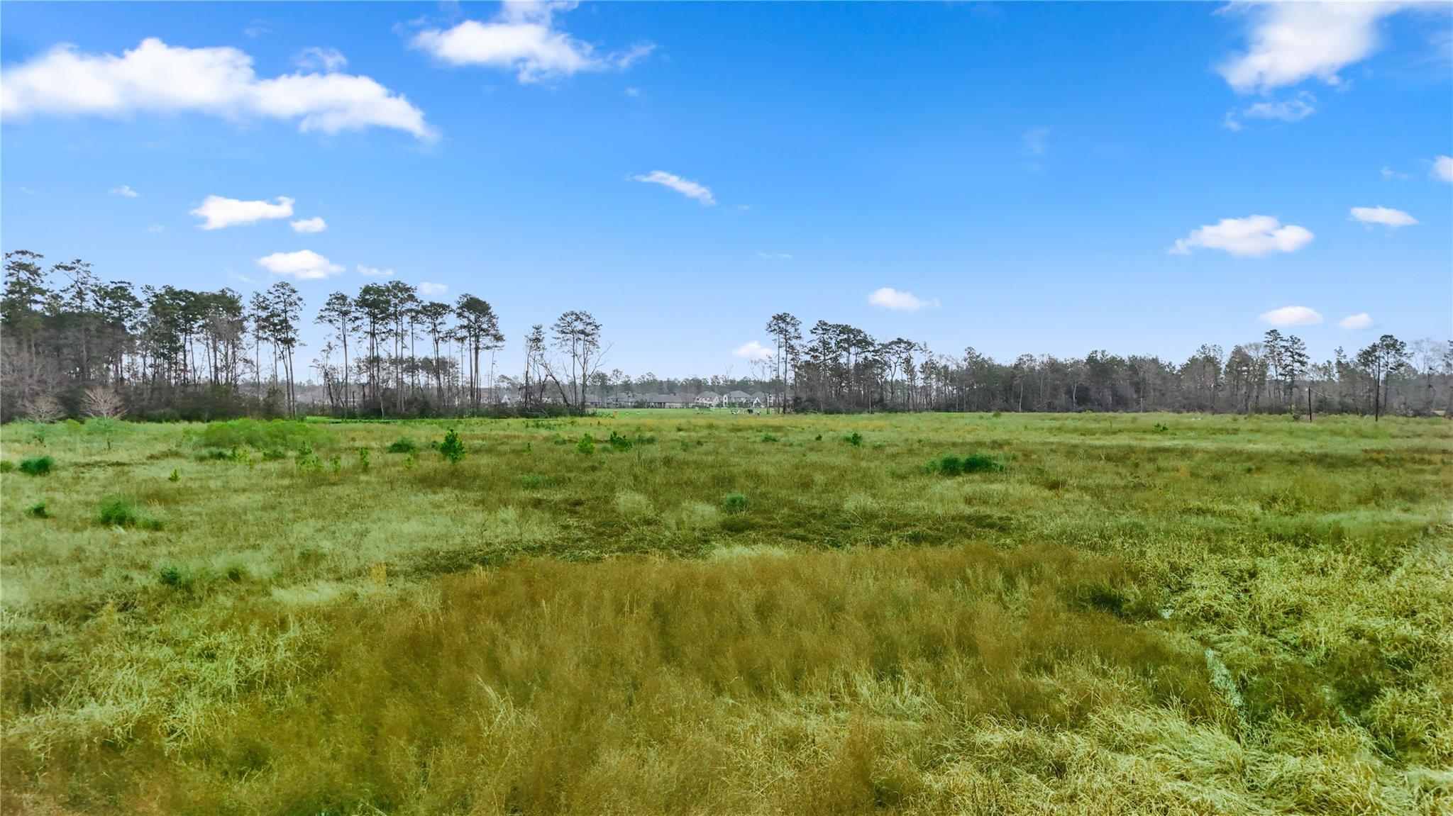 17571 Fm 1314 Road