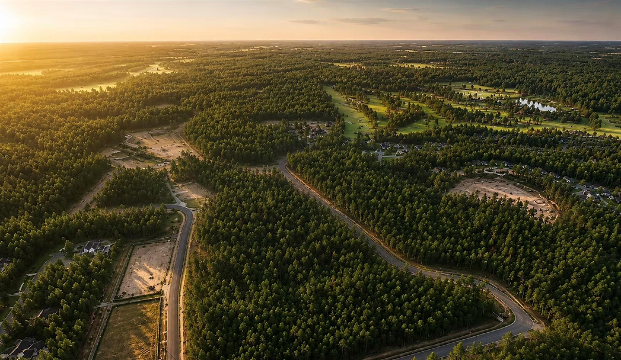 Aerial view of a wooded neighborhood with winding roads and golf course fairways at sunset.