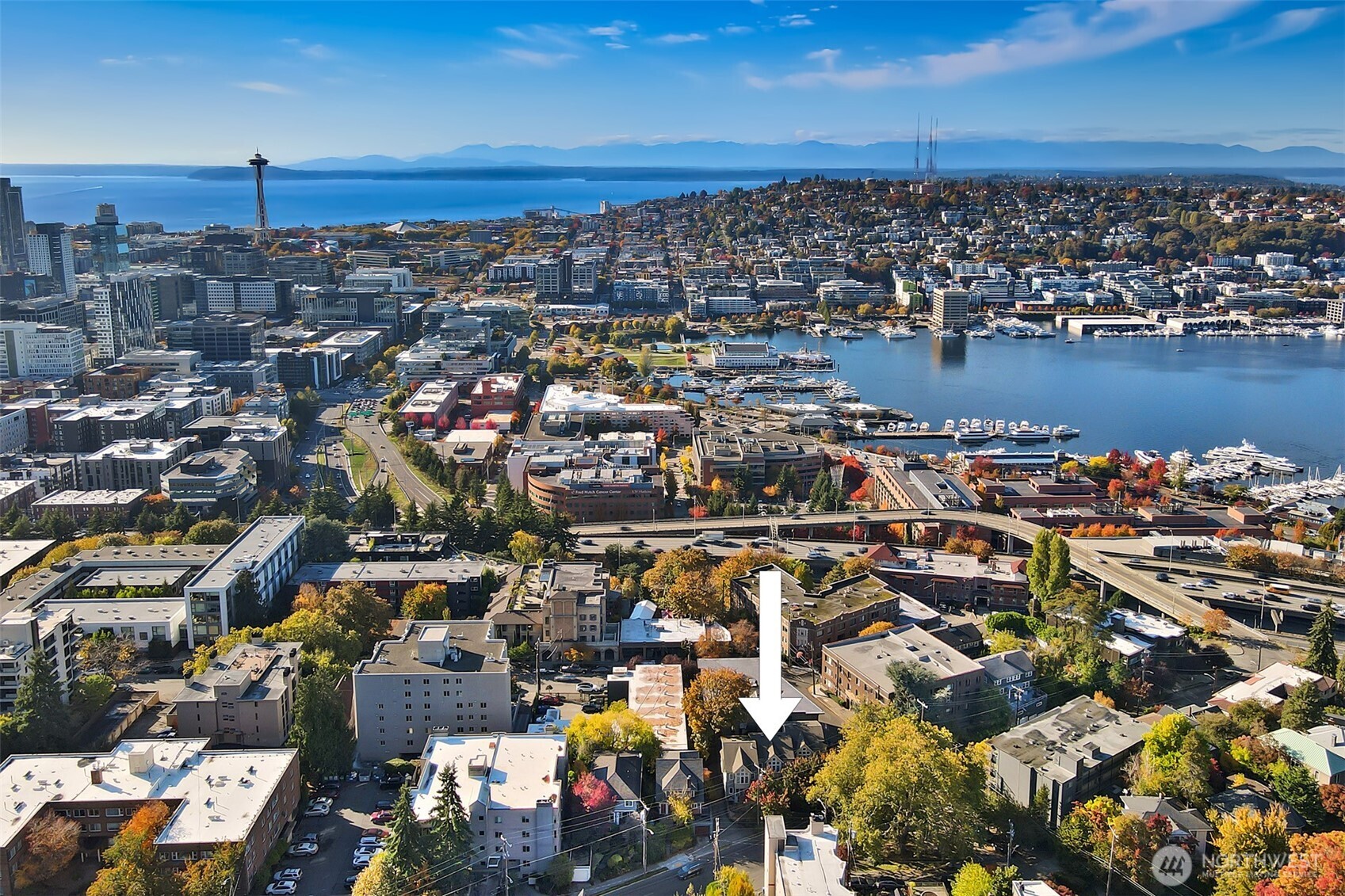 919 Belmont Avenue E