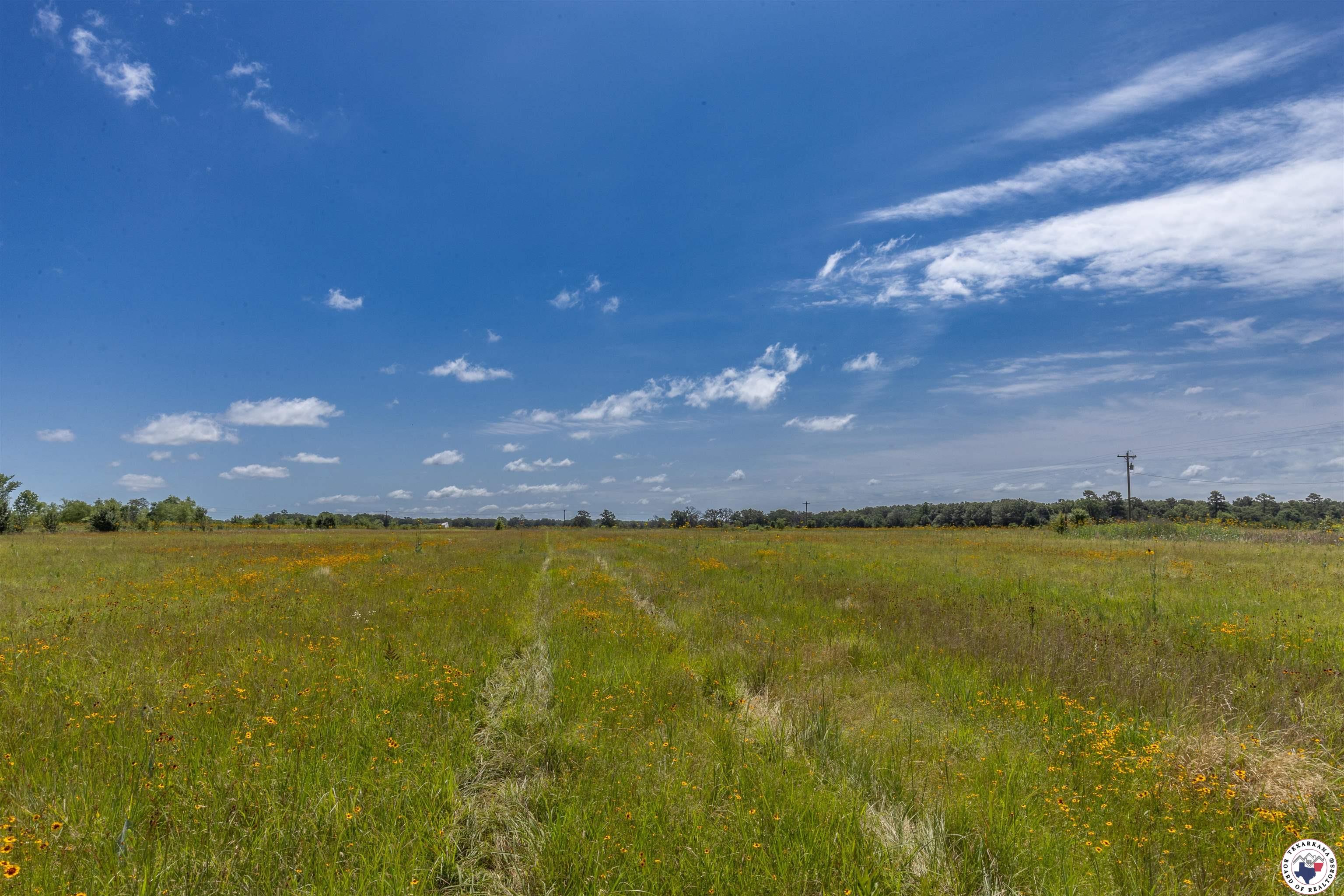 2865 Highway 98