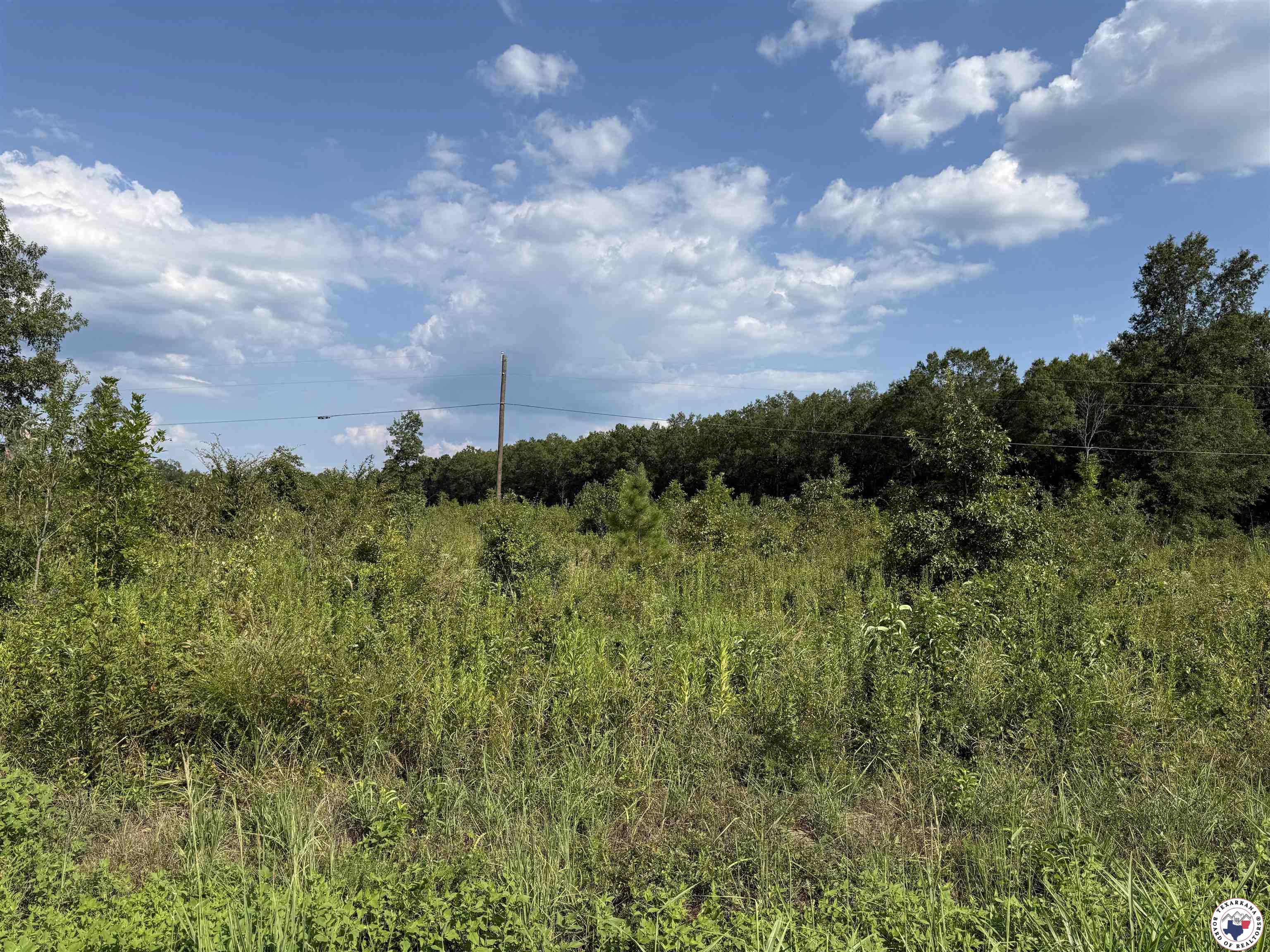 0 County Road 4223