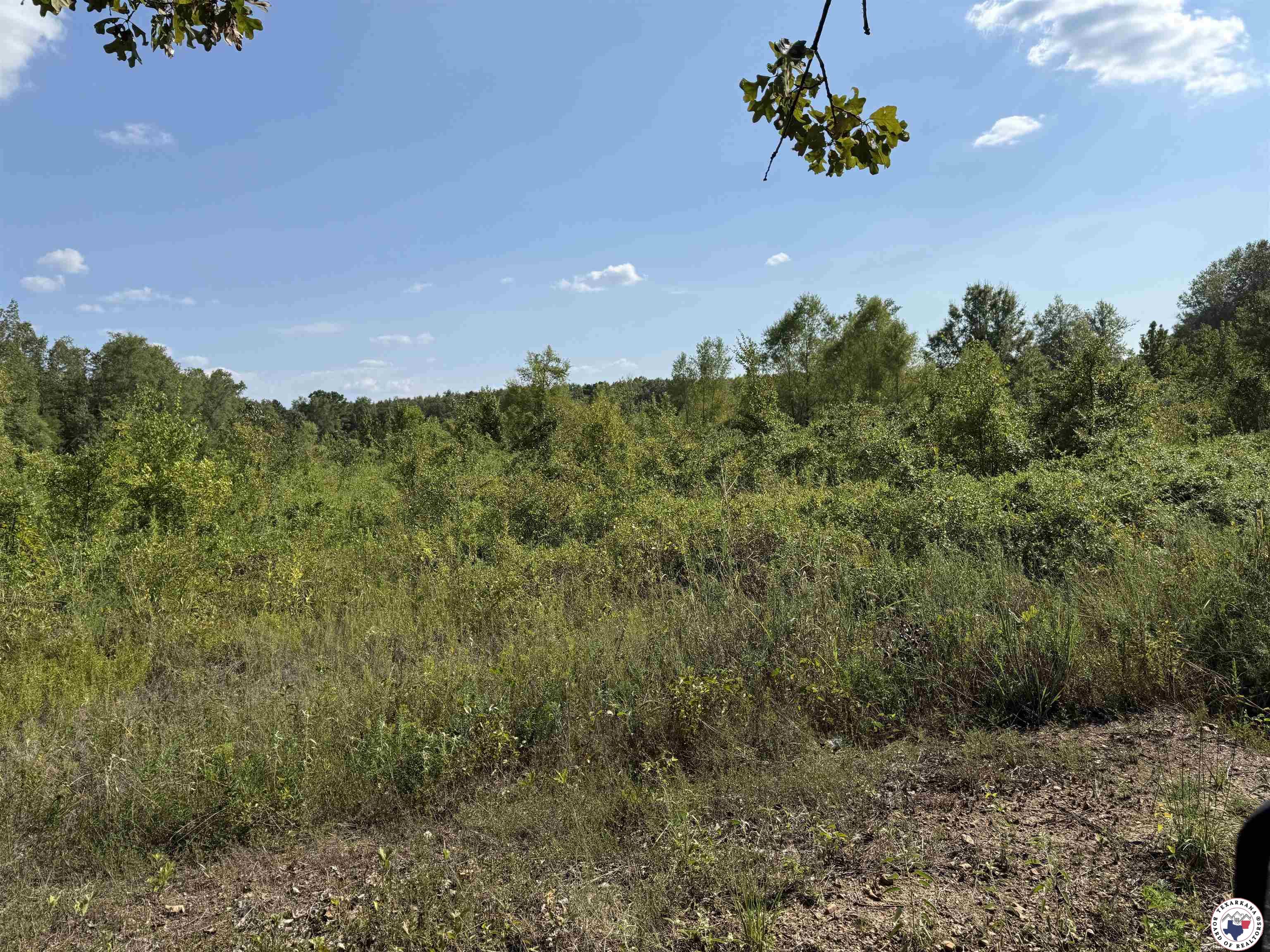 0 County Road 4223