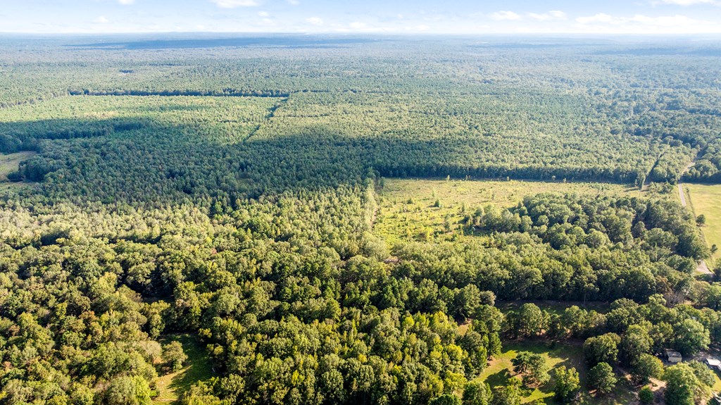 1155 COUNTY ROAD 4153