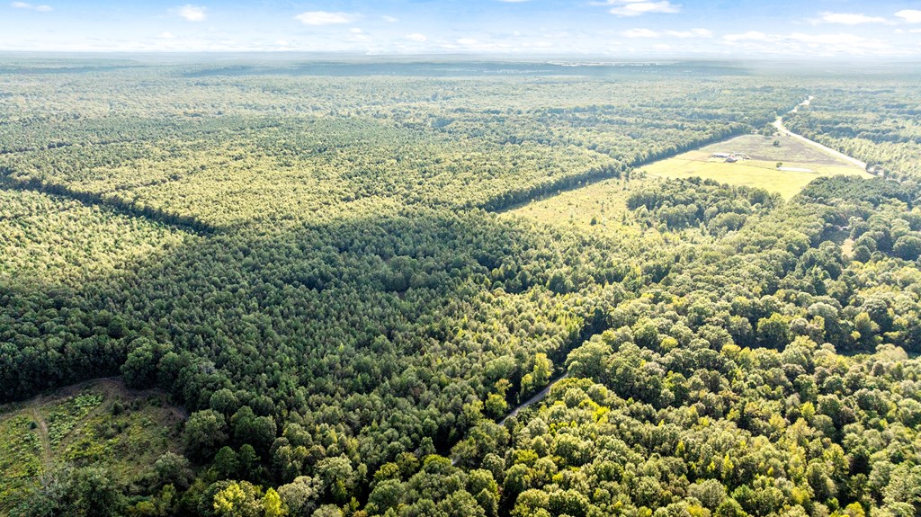 1155 COUNTY ROAD 4153