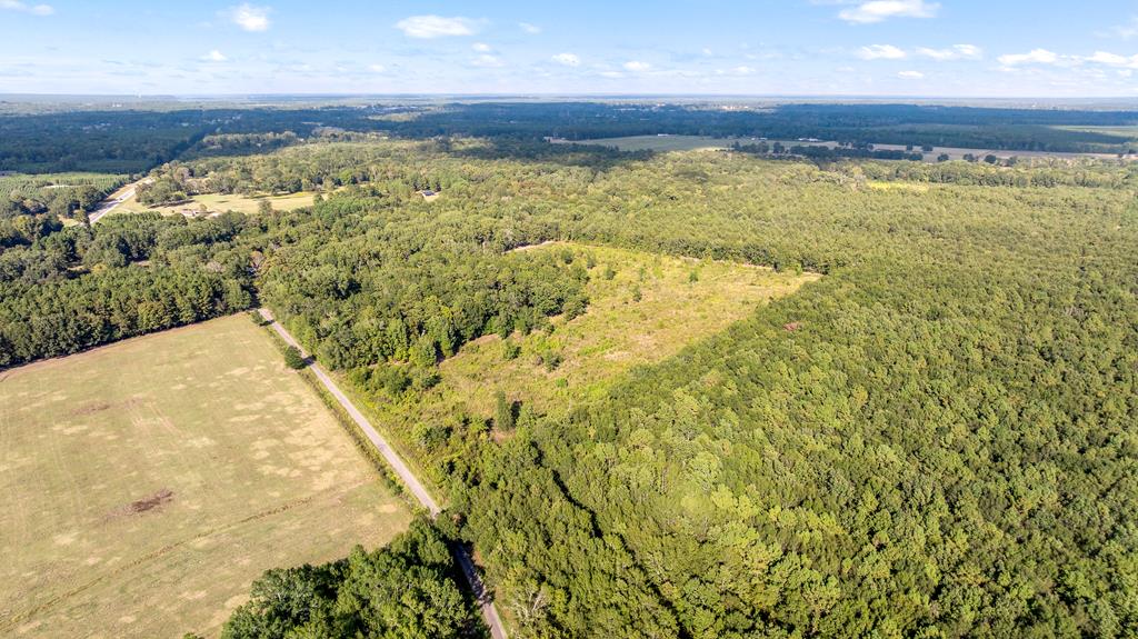 0 (TBD) County Road 4223