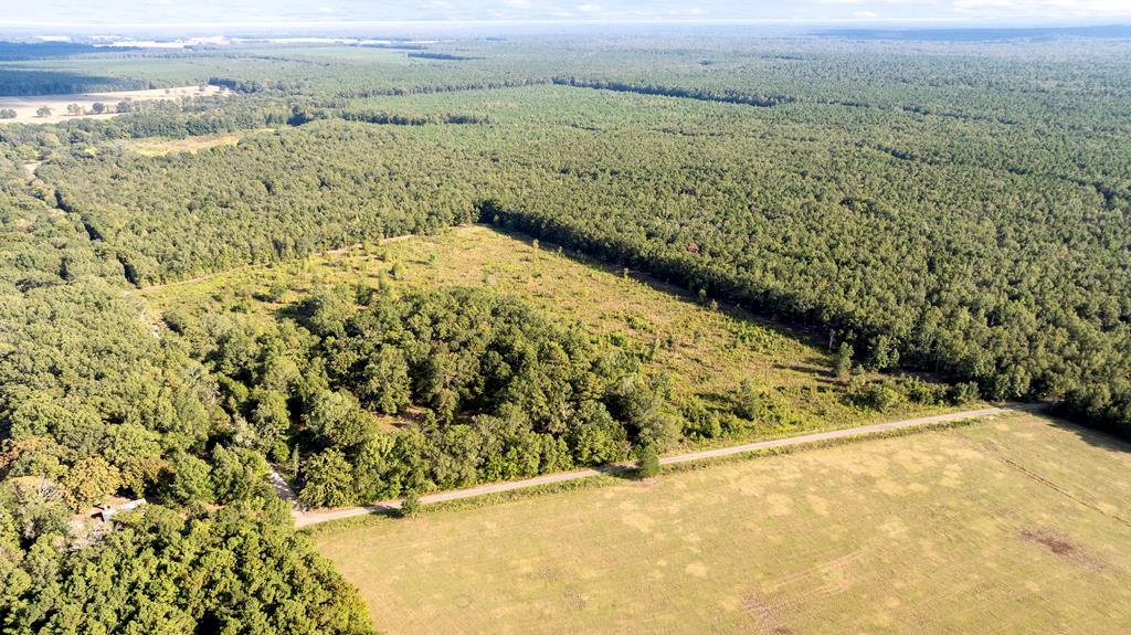 0 (TBD) County Road 4223