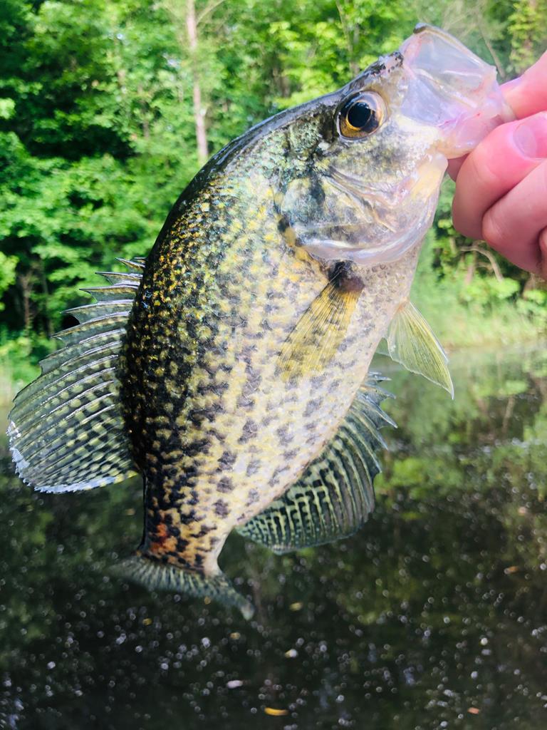 2348 County Road 3215, DeKalb