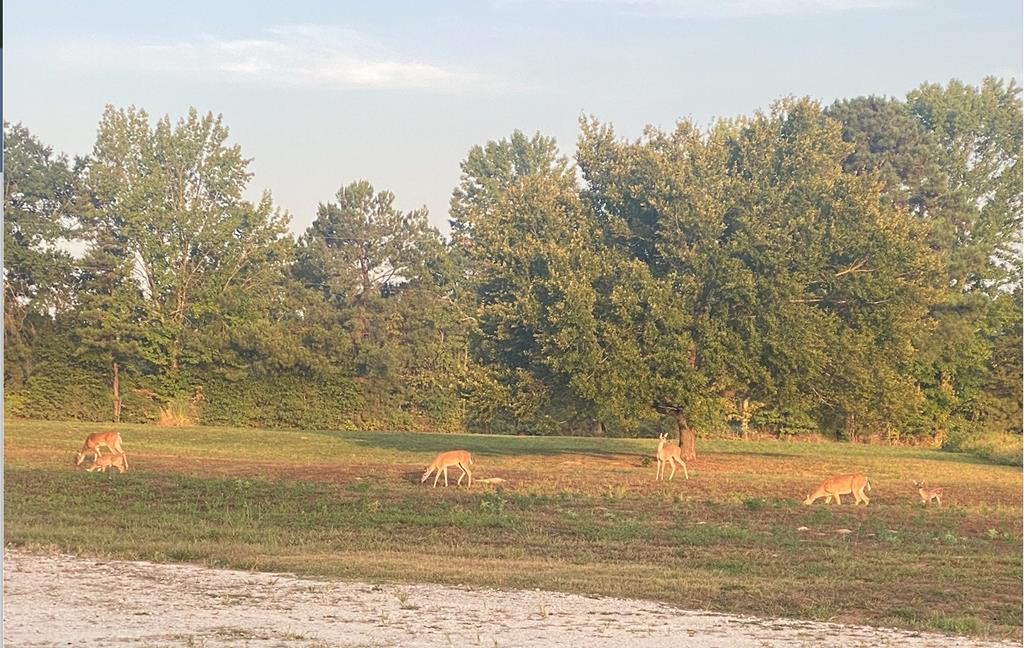 2348 County Road 3215, DeKalb