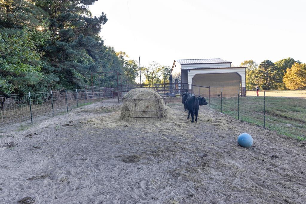 2348 County Road 3215, DeKalb