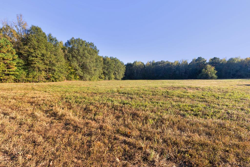 2348 County Road 3215, DeKalb