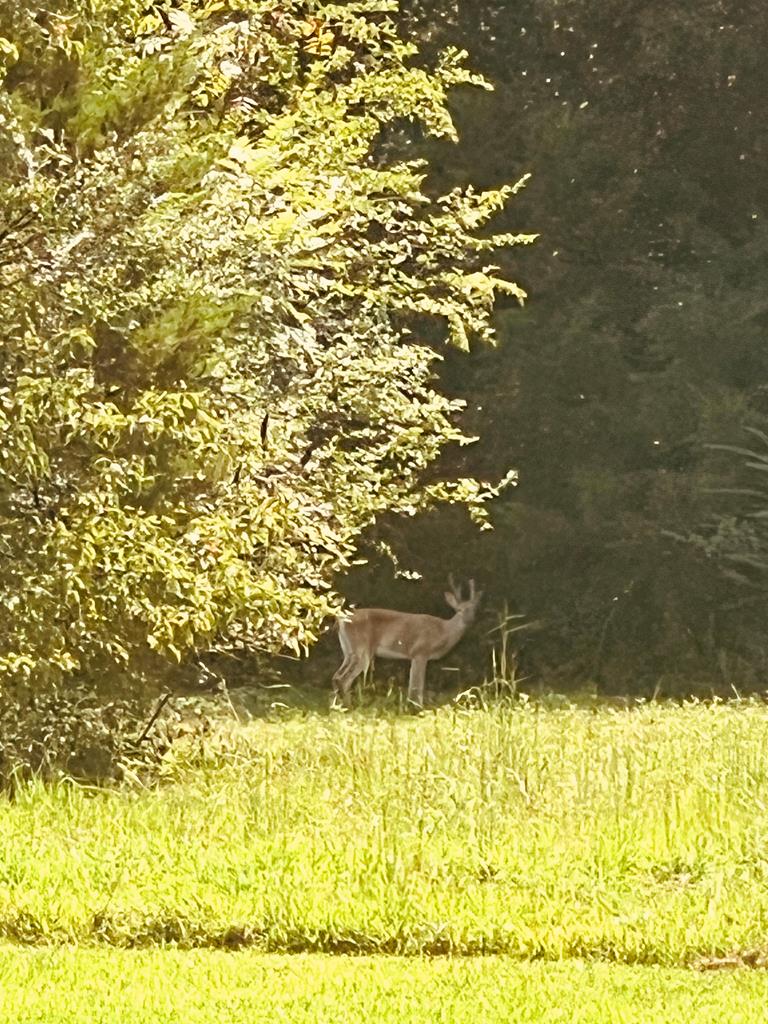 2348 County Road 3215, DeKalb