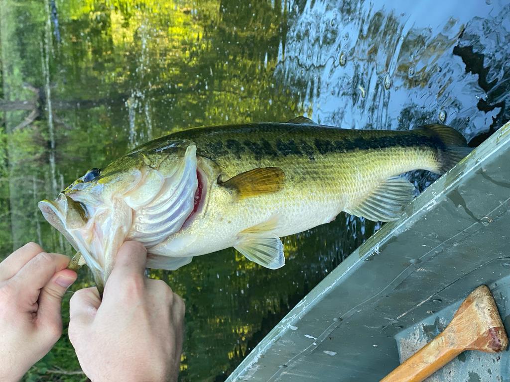 2348 County Road 3215, DeKalb