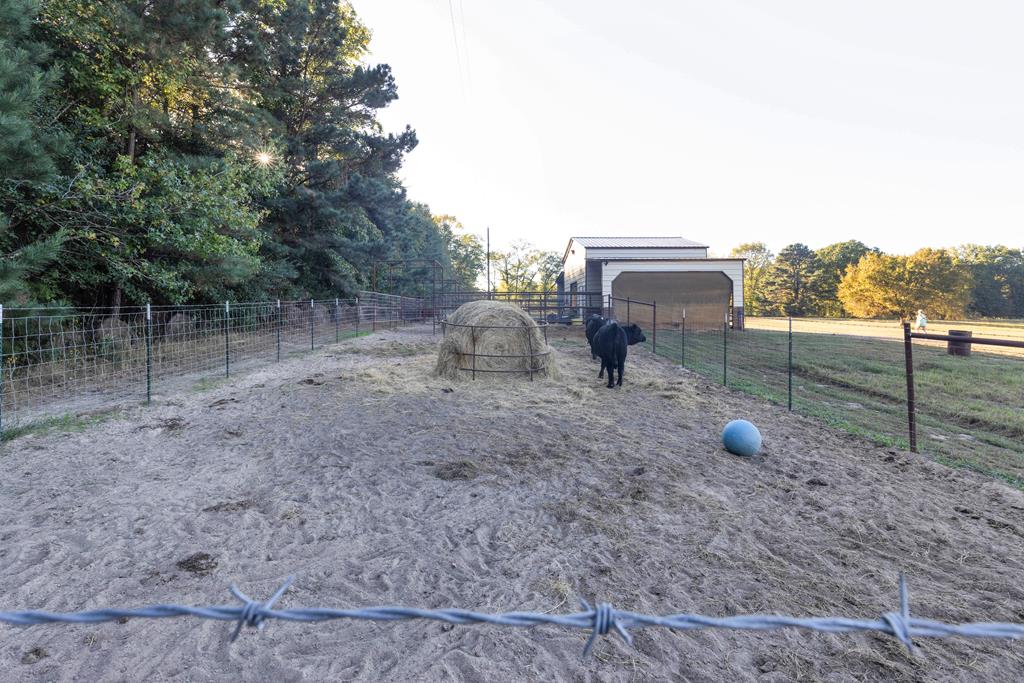 2348 County Road 3215, DeKalb