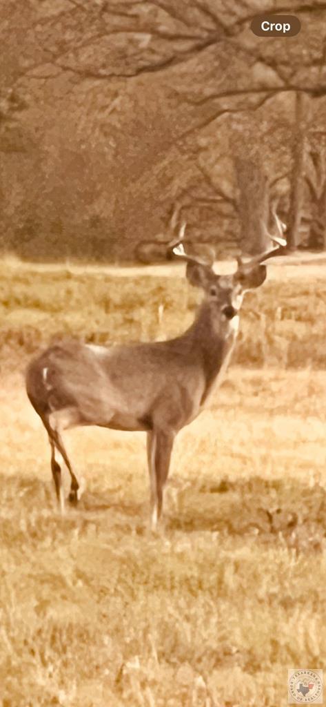 2348 County Road 3215, DeKalb