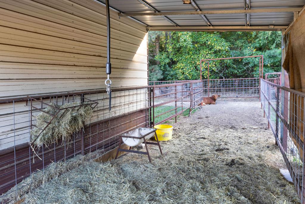 2348 County Road 3215, DeKalb