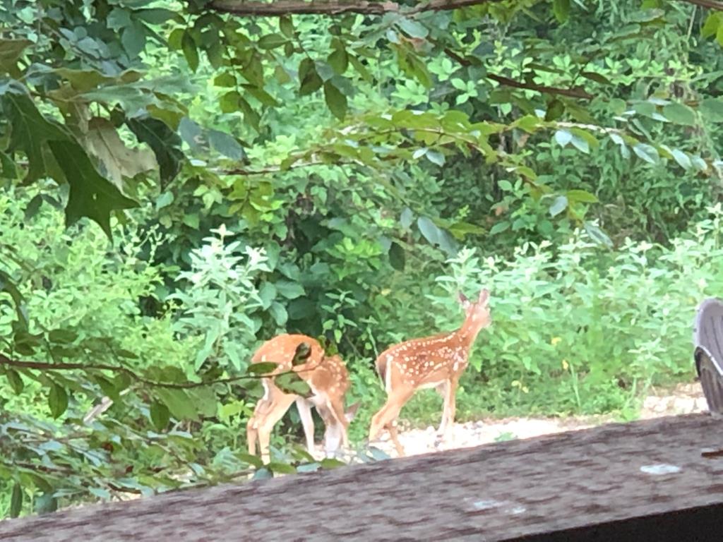 2348 County Road 3215, DeKalb