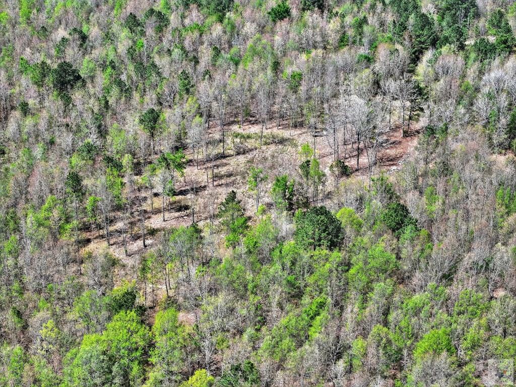 1155 County Road 4153