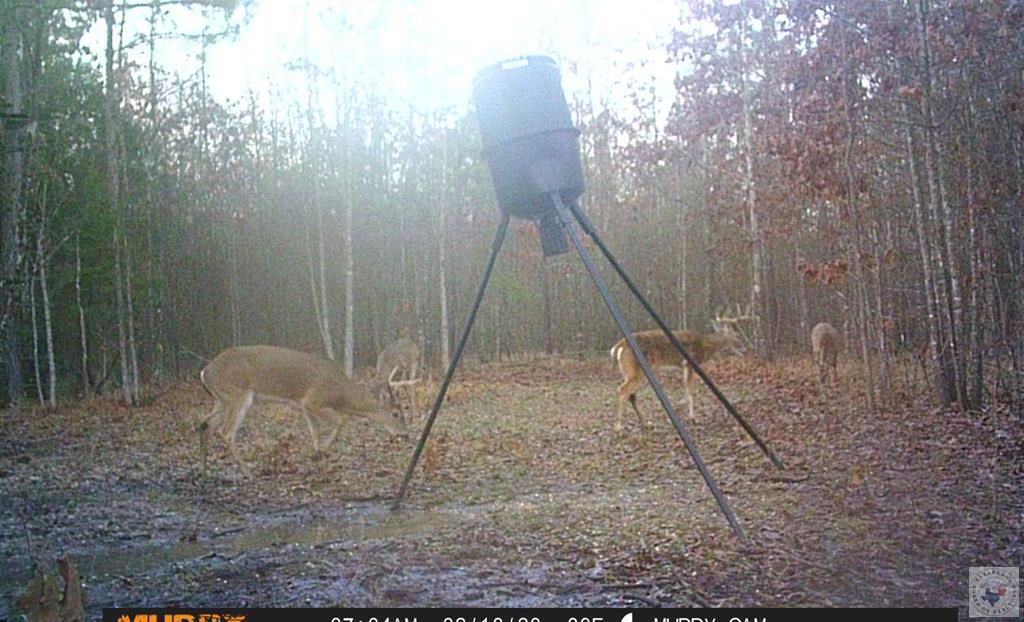 1155 County Road 4153