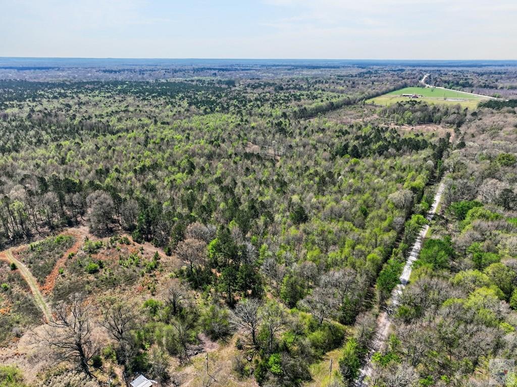 1155 County Road 4153