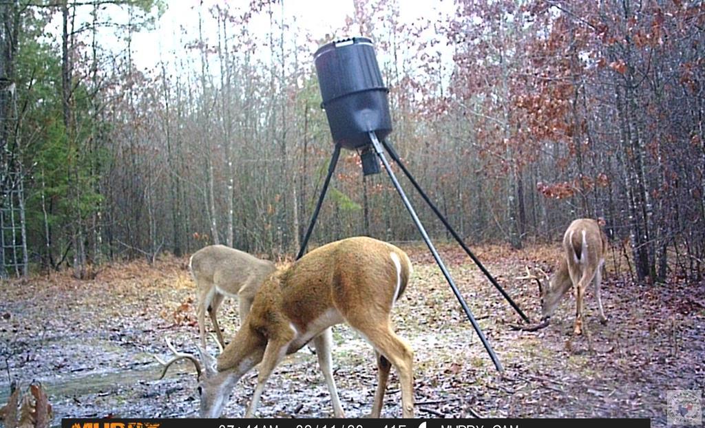 1155 County Road 4153