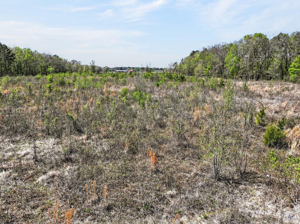 14 +/- Acres County Road 4223