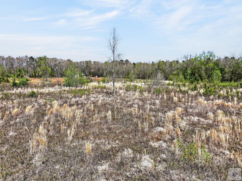 14 +/- Acres County Road 4223