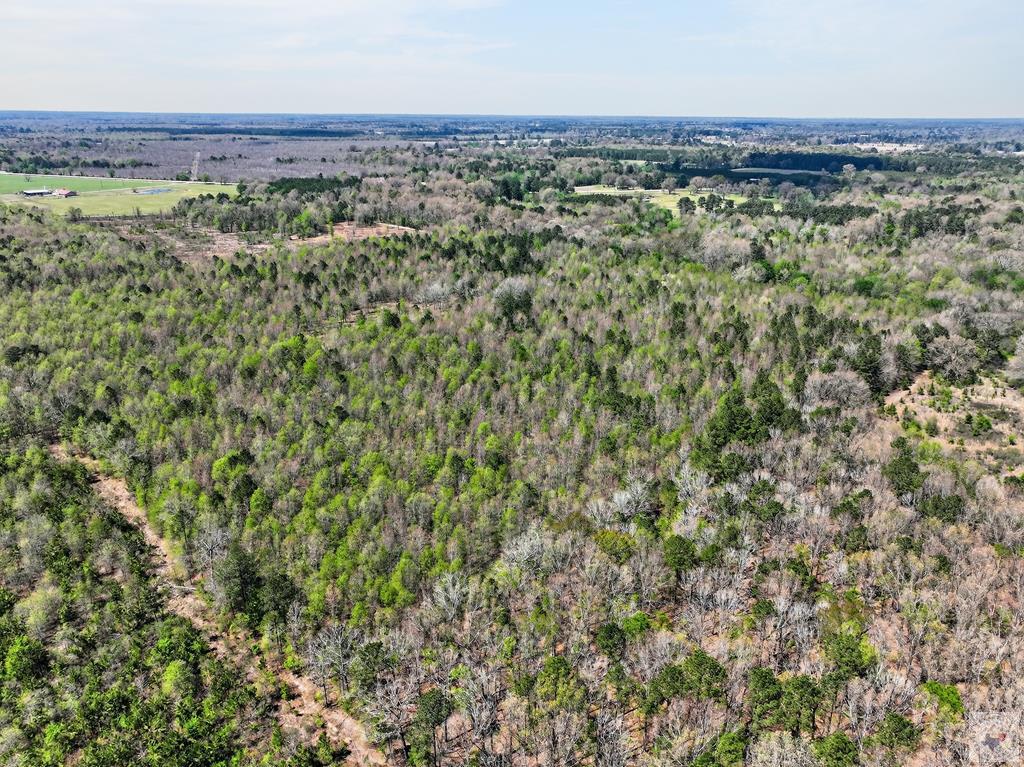 55 +/- Acres County Road 4223