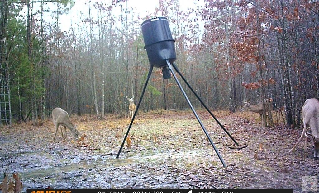 55 +/- Acres County Road 4223