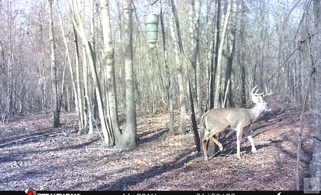 55 +/- Acres County Road 4223