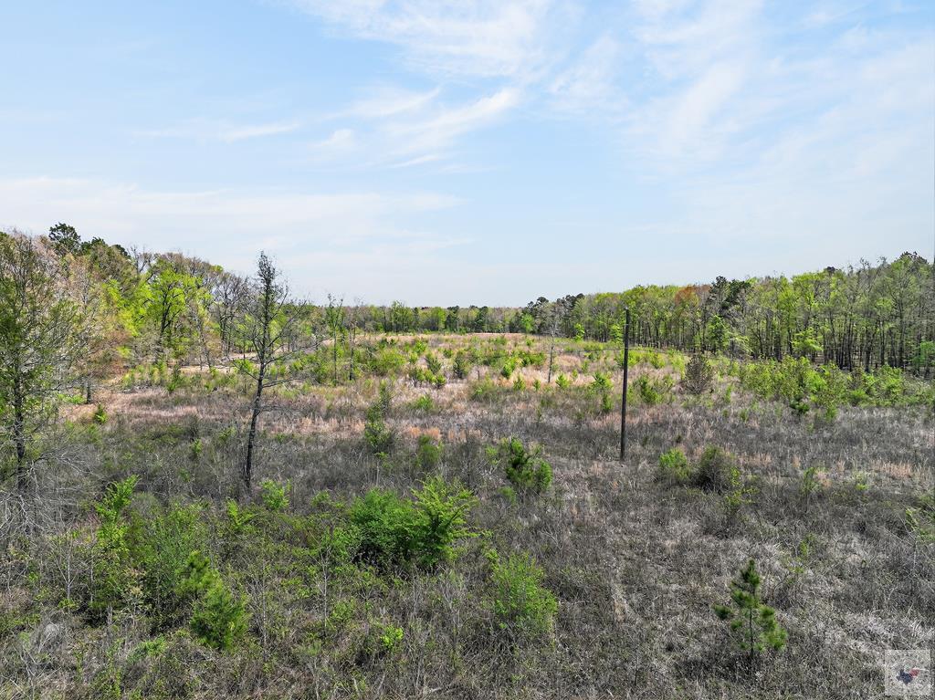 55 +/- Acres County Road 4223