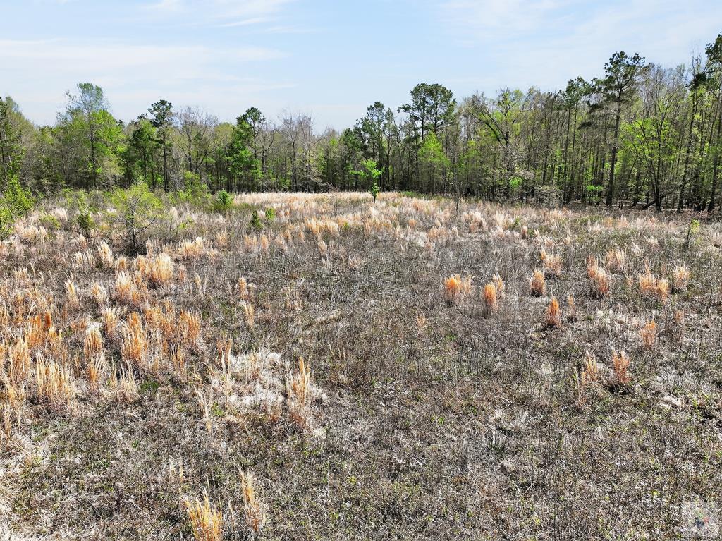 55 +/- Acres County Road 4223