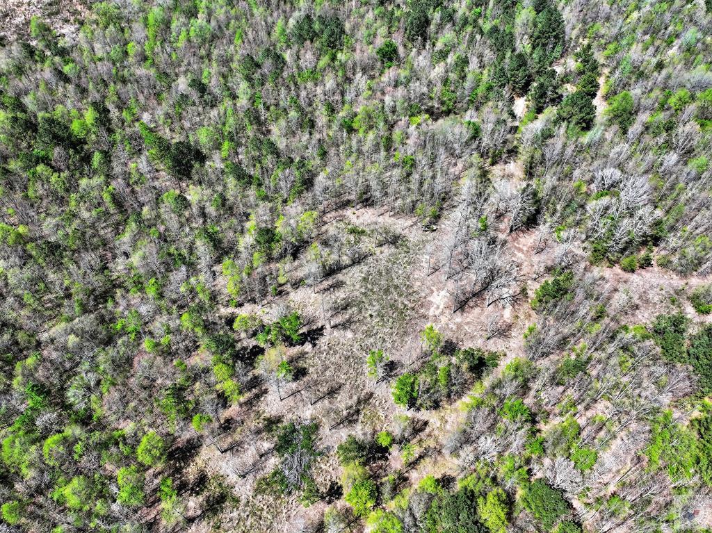 55 +/- Acres County Road 4223