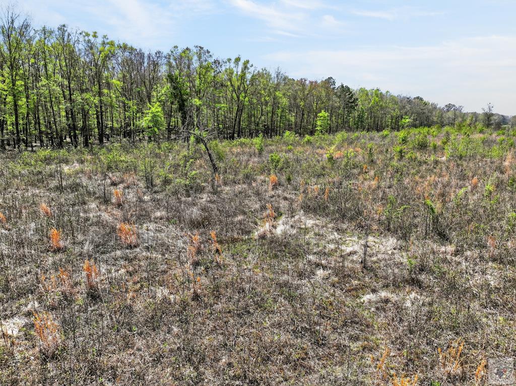 55 +/- Acres County Road 4223