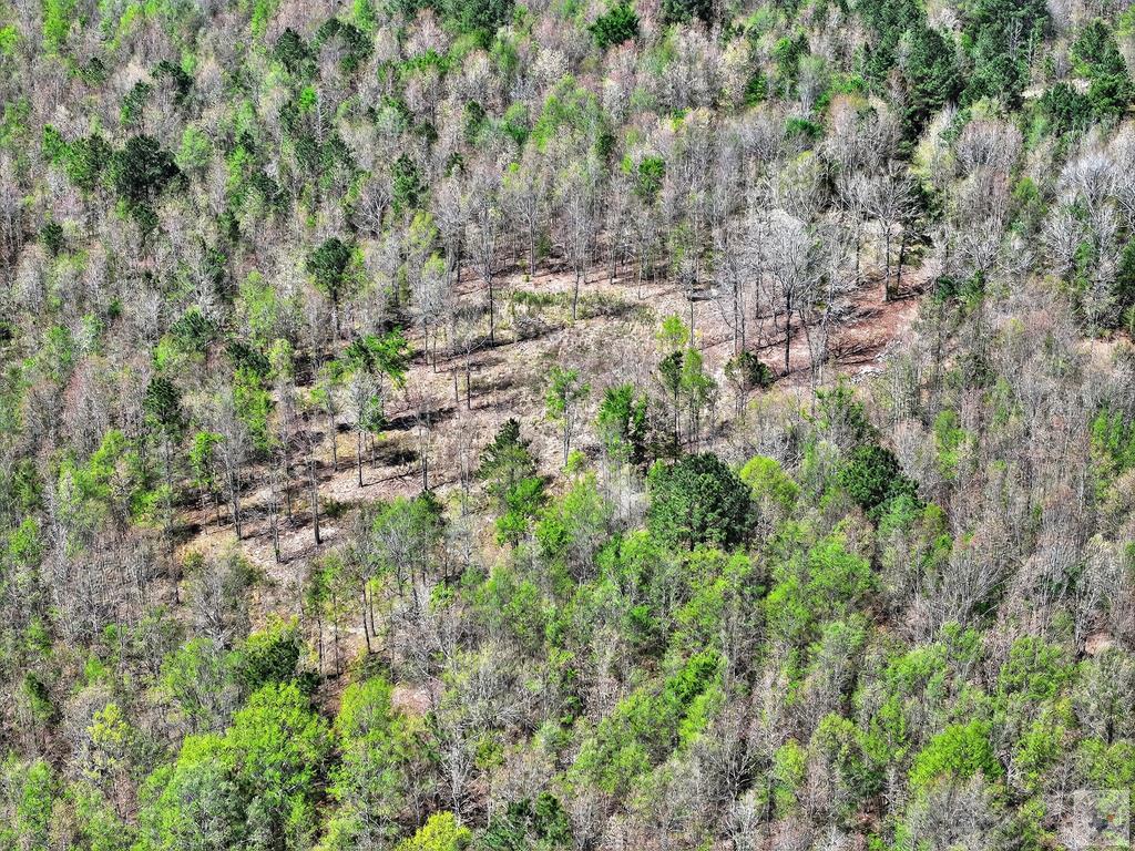 55 +/- Acres County Road 4223